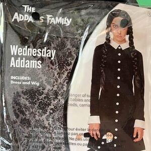 Wednesday Addams Costume Dress and Wig